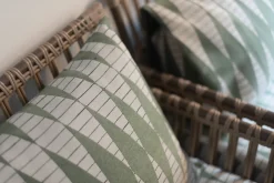 Backgammon Menta - Coordonné