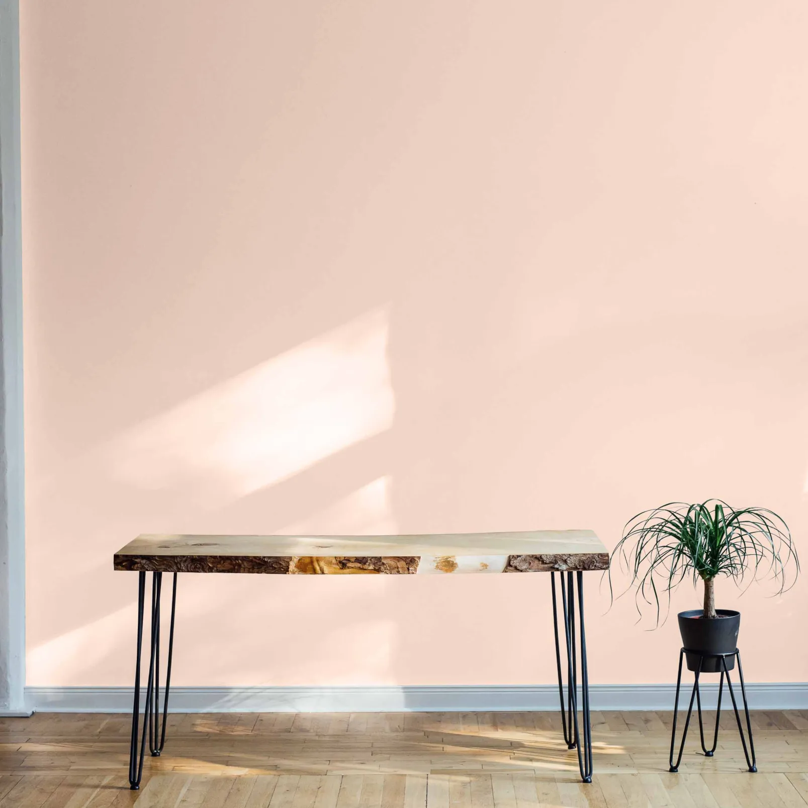 Bailarina - Coordonné