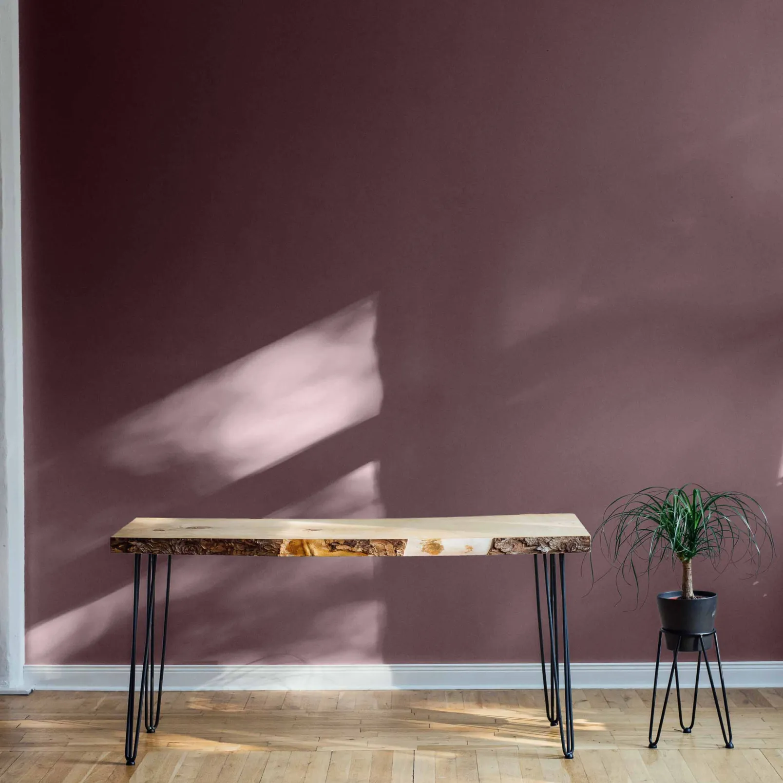 Berenjena - Coordonné