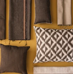 Bertoia Cigar - Coordonné