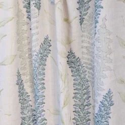 Botánica Alga - Coordonné