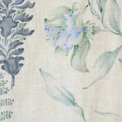 Botánica Avio - Coordonné