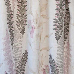 Botánica Ciruela - Coordonné