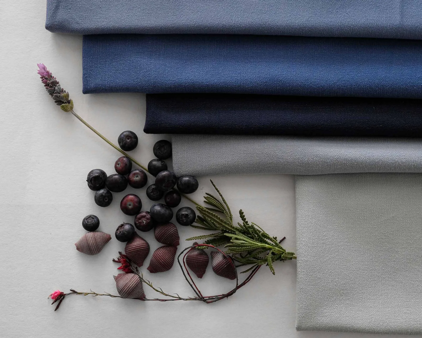 Breeze 590 - Coordonné