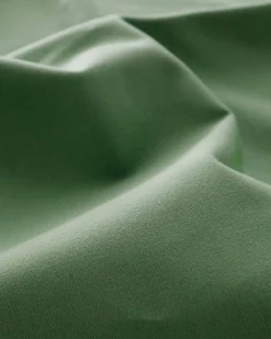 Cactus 397 - Coordonné