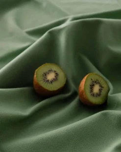 Cactus 397 - Coordonné