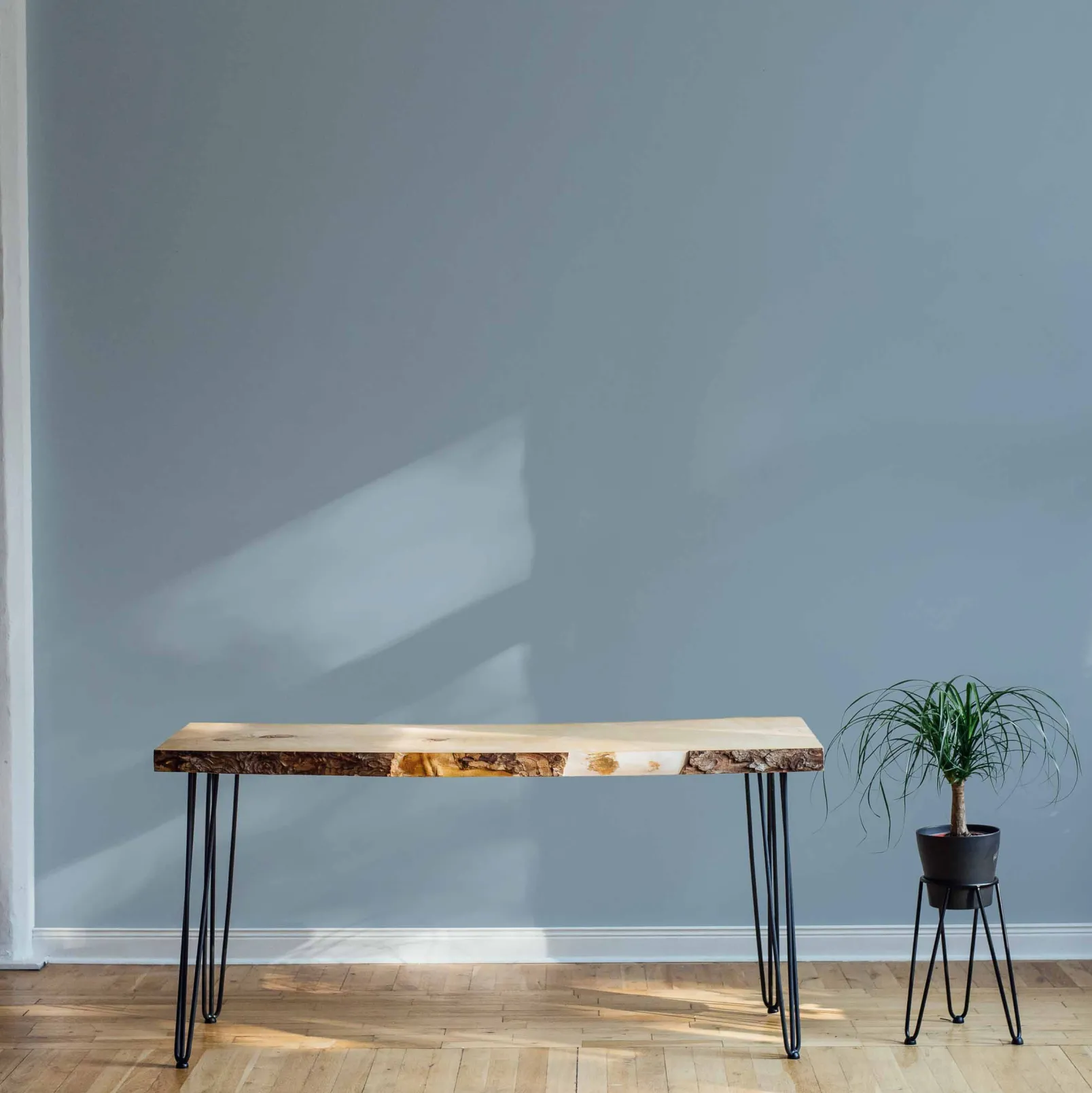 Cadaqués - NEW - Coordonné