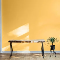 Canario - NEW - Coordonné