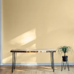 Cardamomo - Coordonné