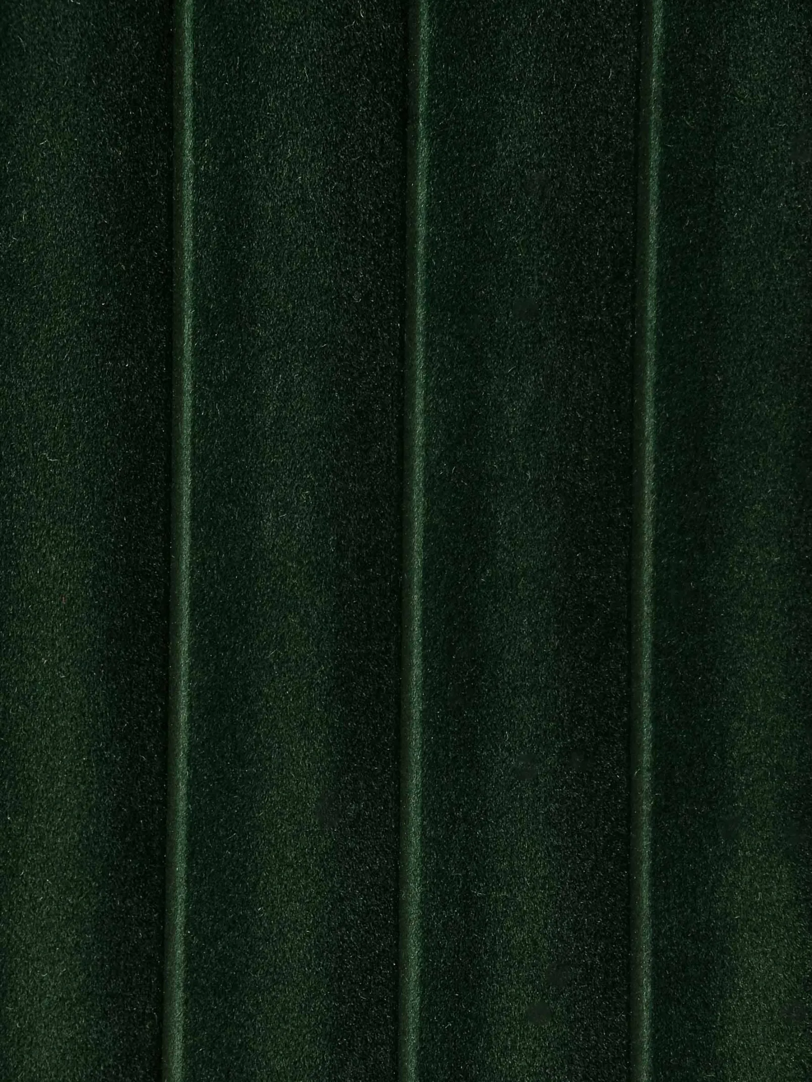 3D Decibel Pine - Coordonné