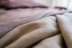 El Mercader Lavender - Coordonné