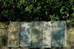 Field Maple Aqua - Coordonné