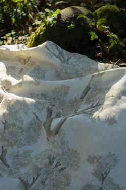 Field Maple Bone - Coordonné