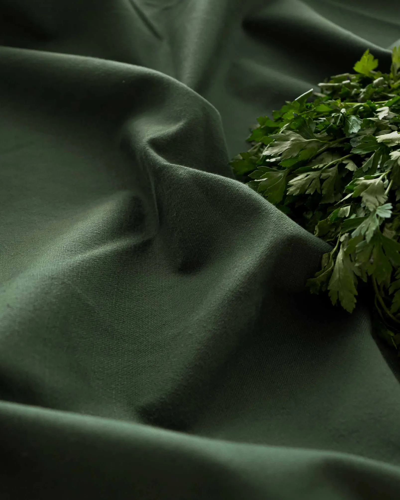 Forest 616 - Coordonné