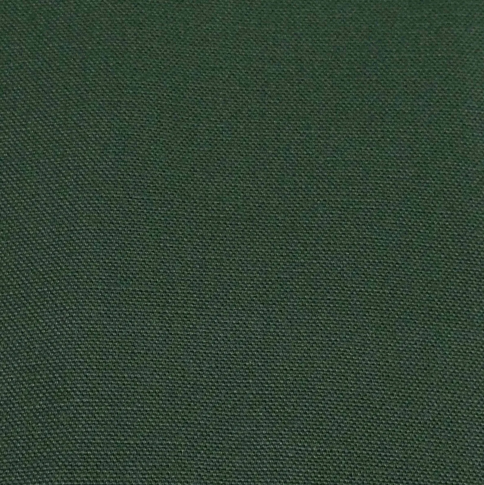 Forest 616 - Coordonné