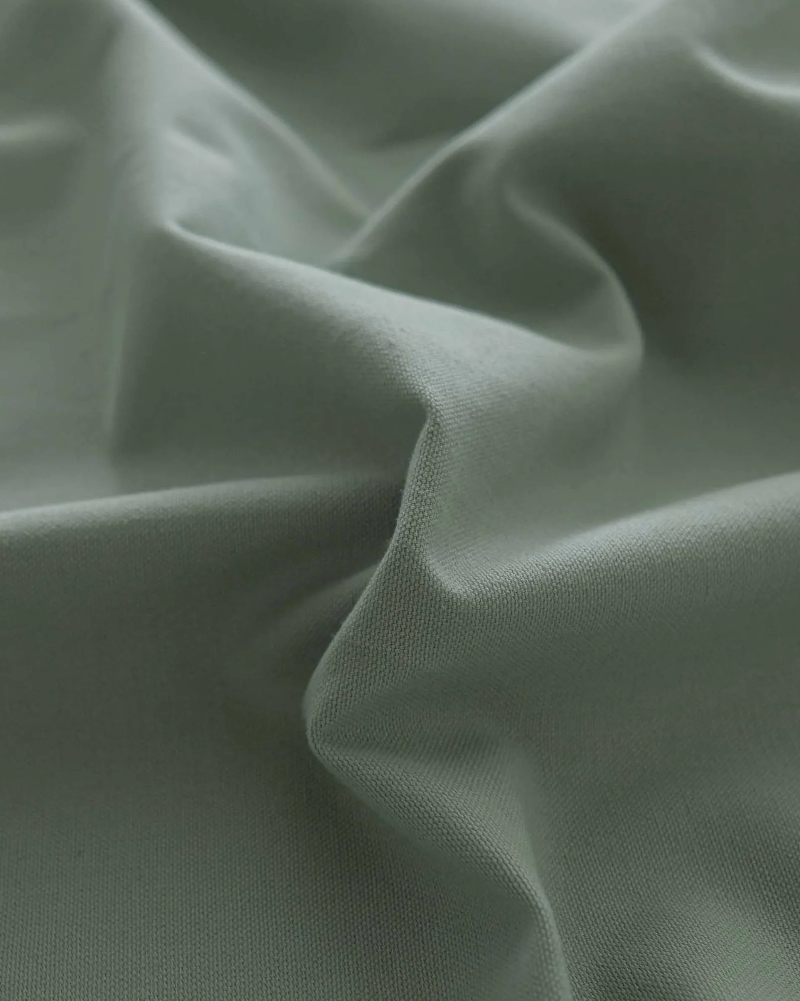 Green Tea 668 - Coordonné