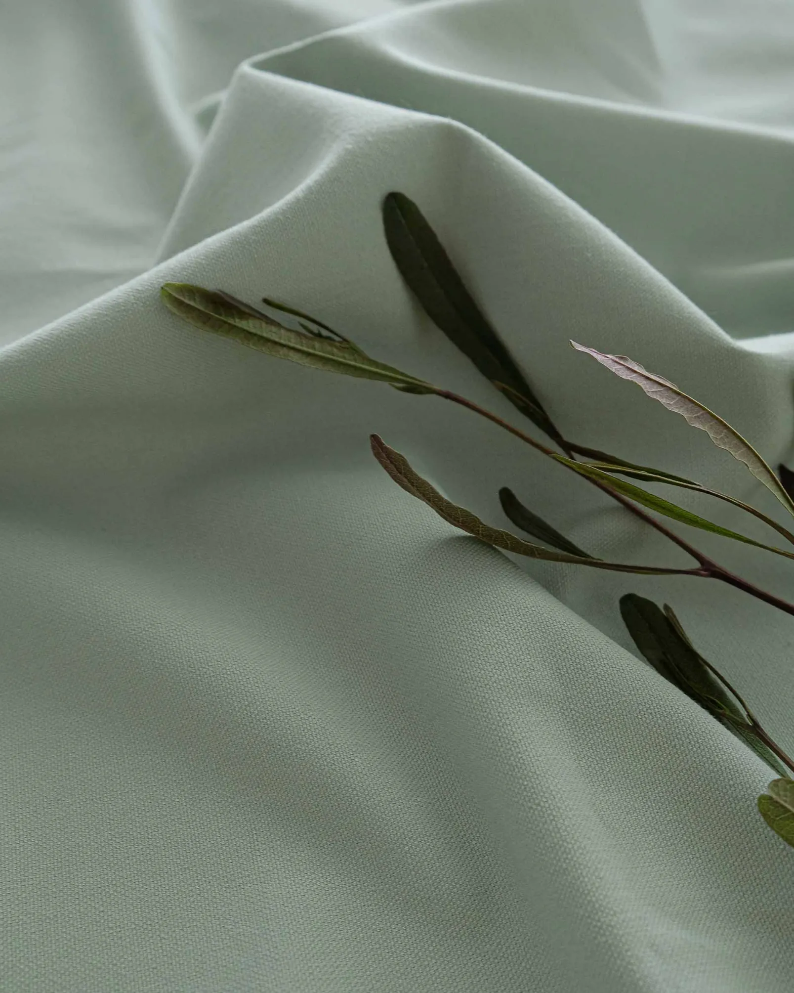 Green Tea 668 - Coordonné