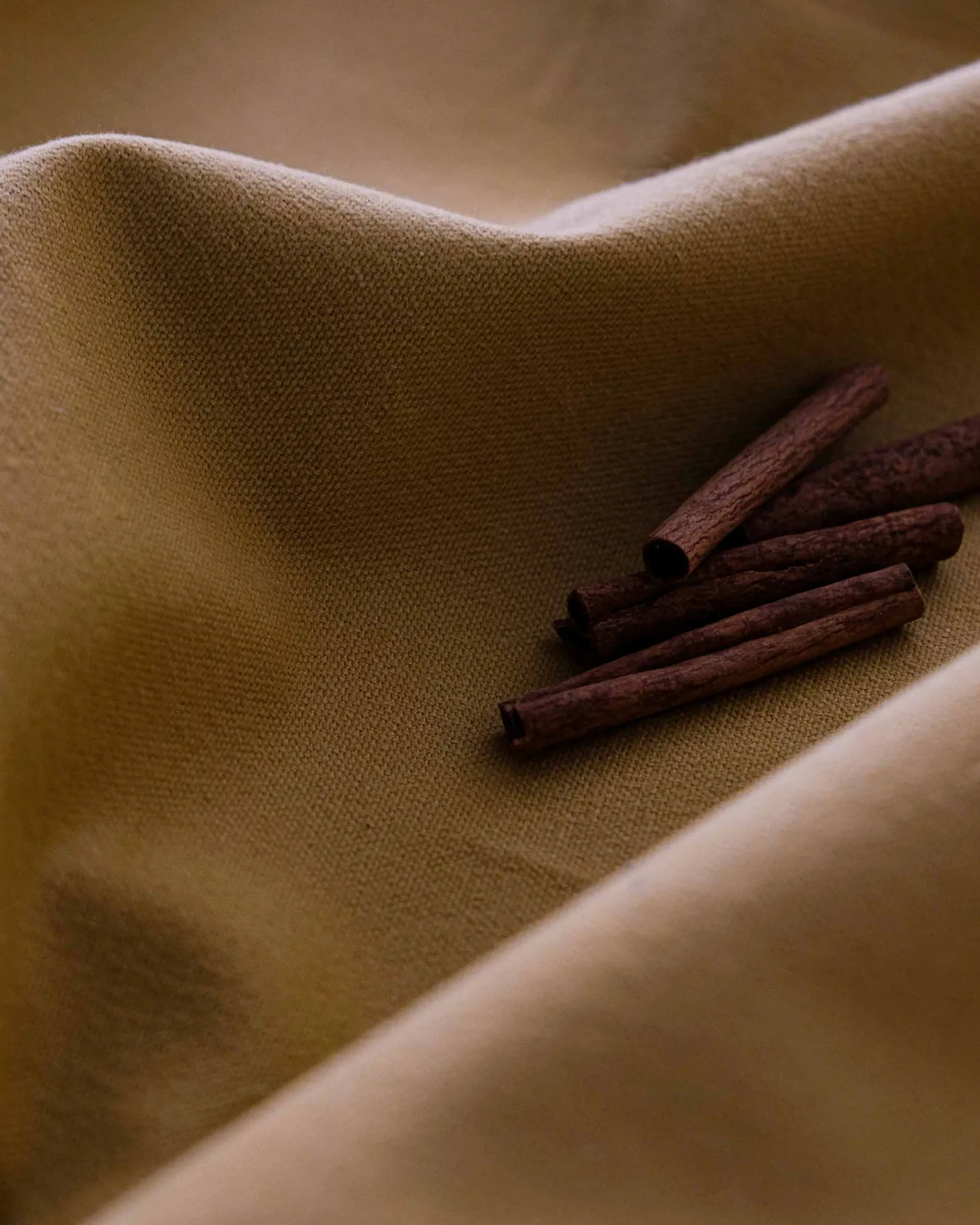 Honey 511 - Coordonné