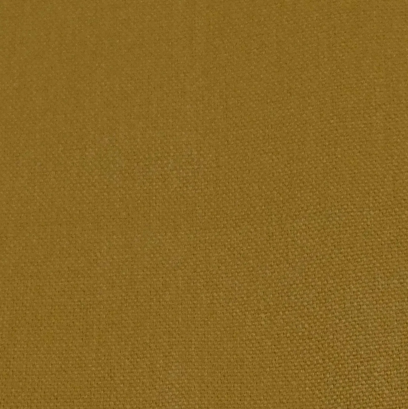 Honey 511 - Coordonné