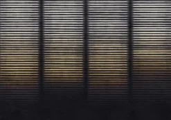 Hoshi Ash - Coordonné