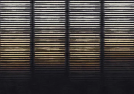 Hoshi Ash - Coordonné