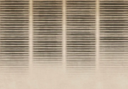 Hoshi Cloud - Coordonné