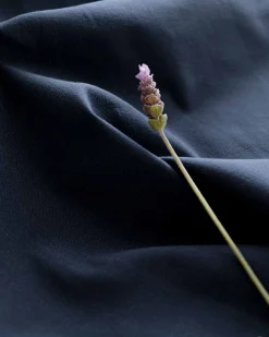 Ink 760 - Coordonné