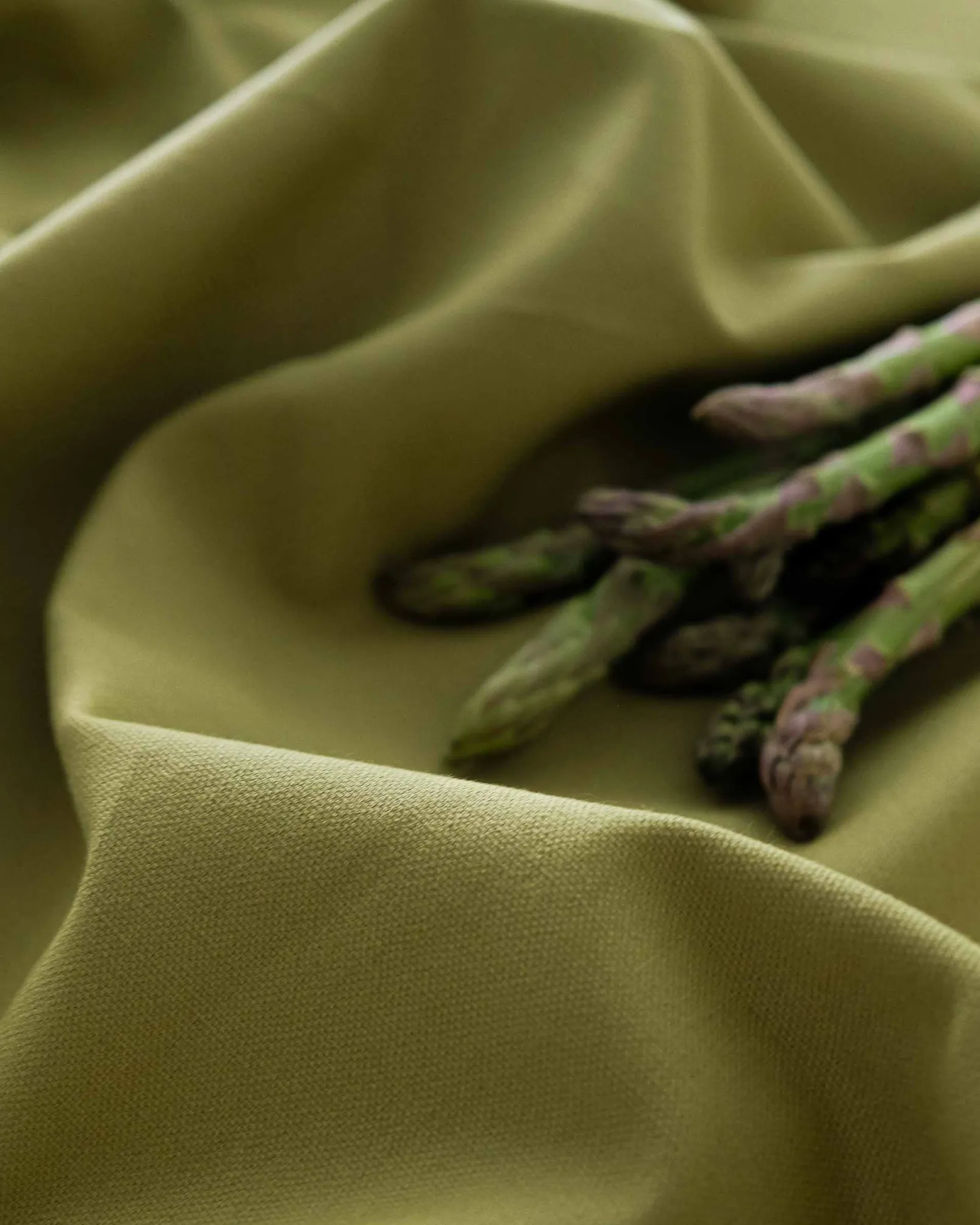 Kiwi 626 - Coordonné