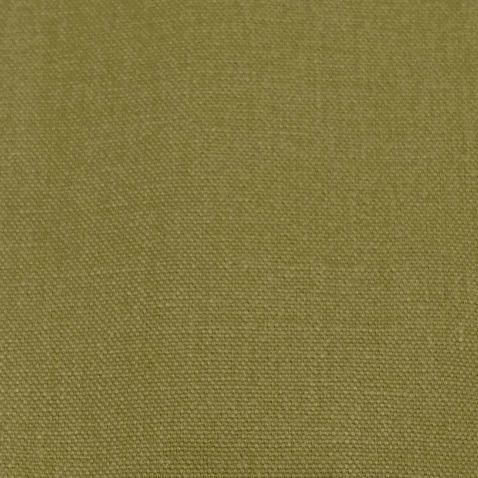 Kiwi 626 - Coordonné