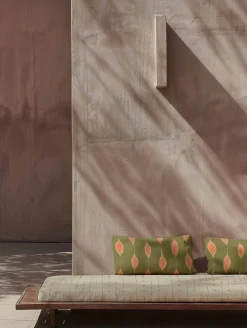 Kumo Moss - Coordonné