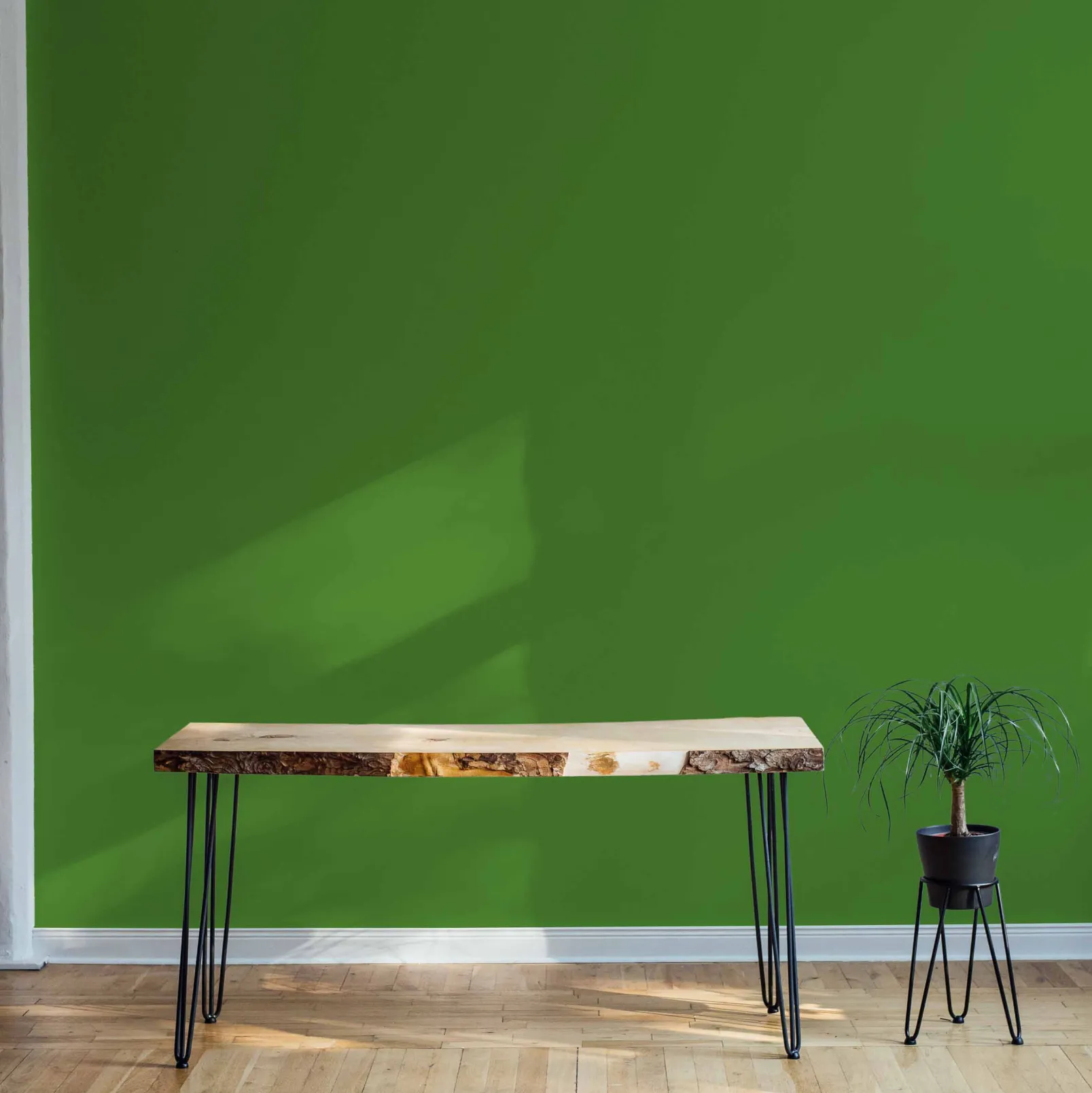 Loro - NEW - Coordonné