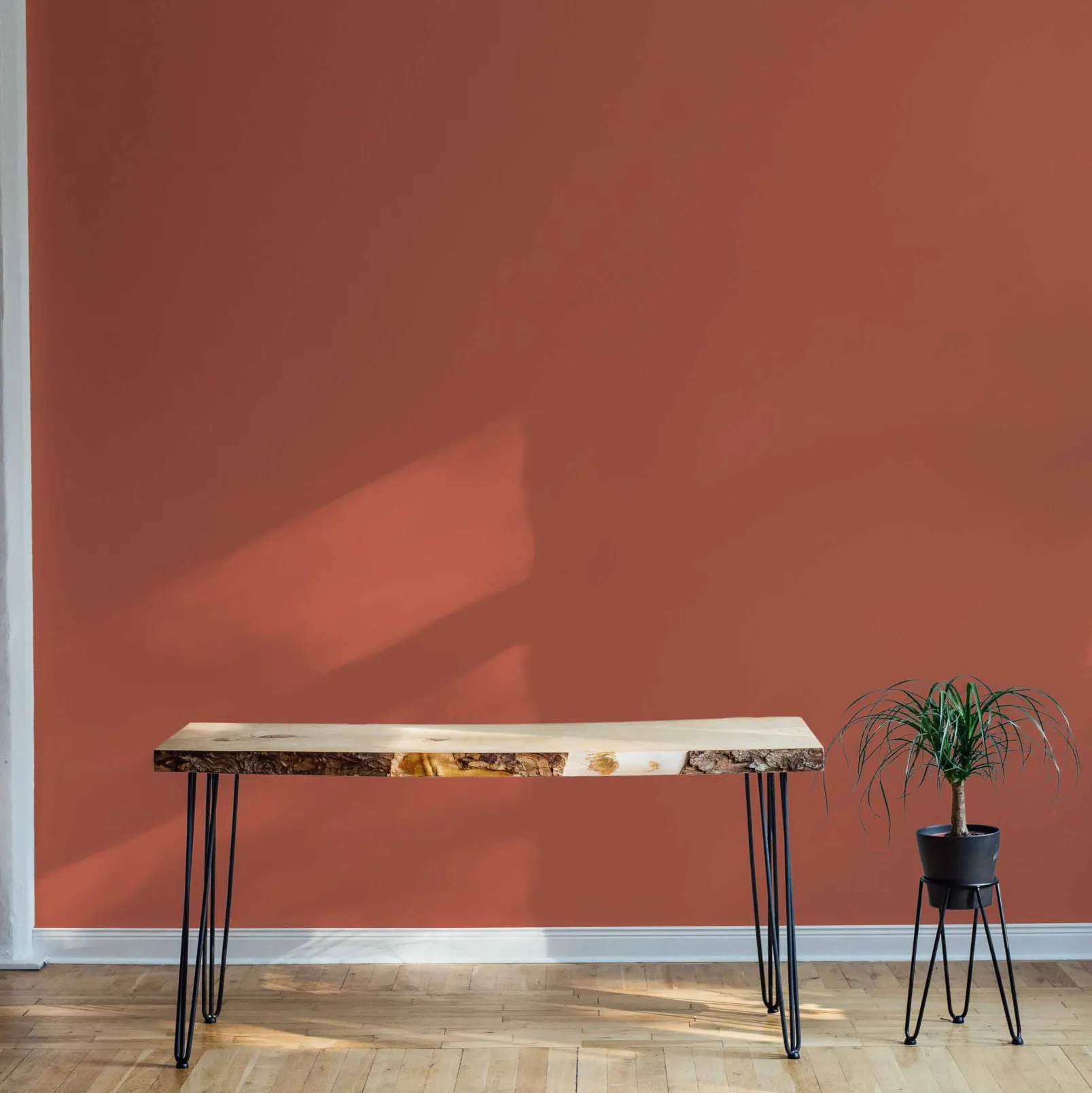 Mandarina - NEW - Coordonné