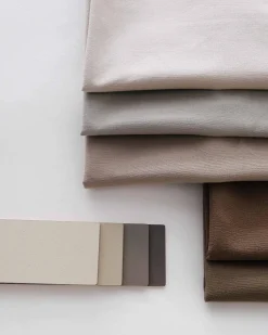 Mushroom 032 - Coordonné