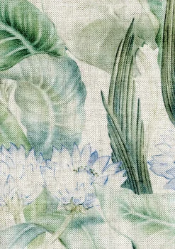 Nenuphars Menta - Coordonné