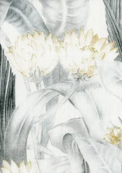 Nenuphars Plata - Coordonné