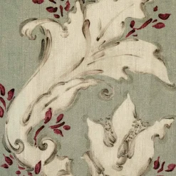 Nouveau Alga - Coordonné