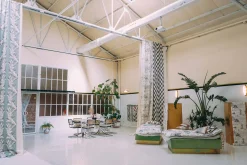 Nouveau Alga - Coordonné