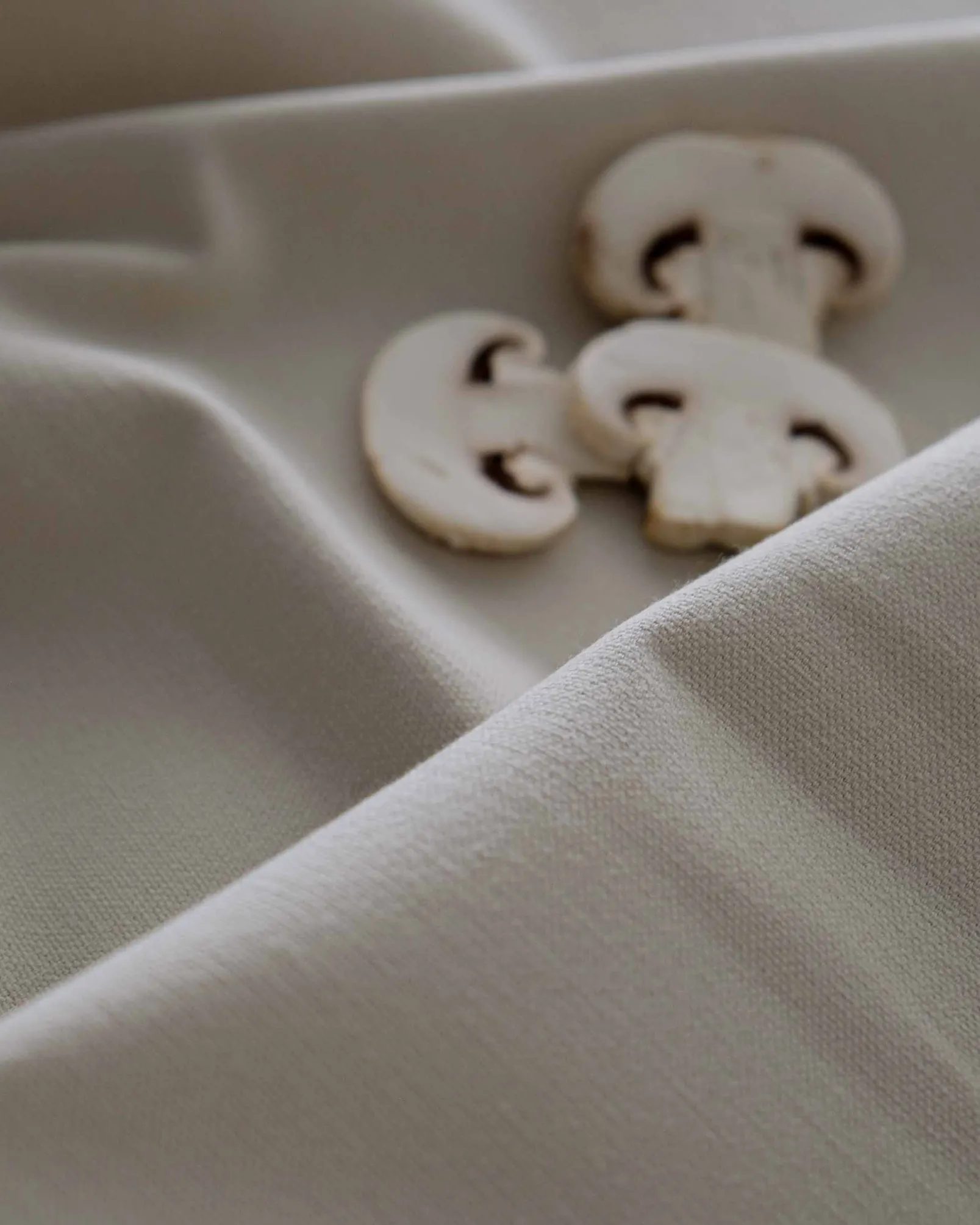 Oat 187 - Coordonné