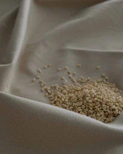 Parchement 022 - Coordonné