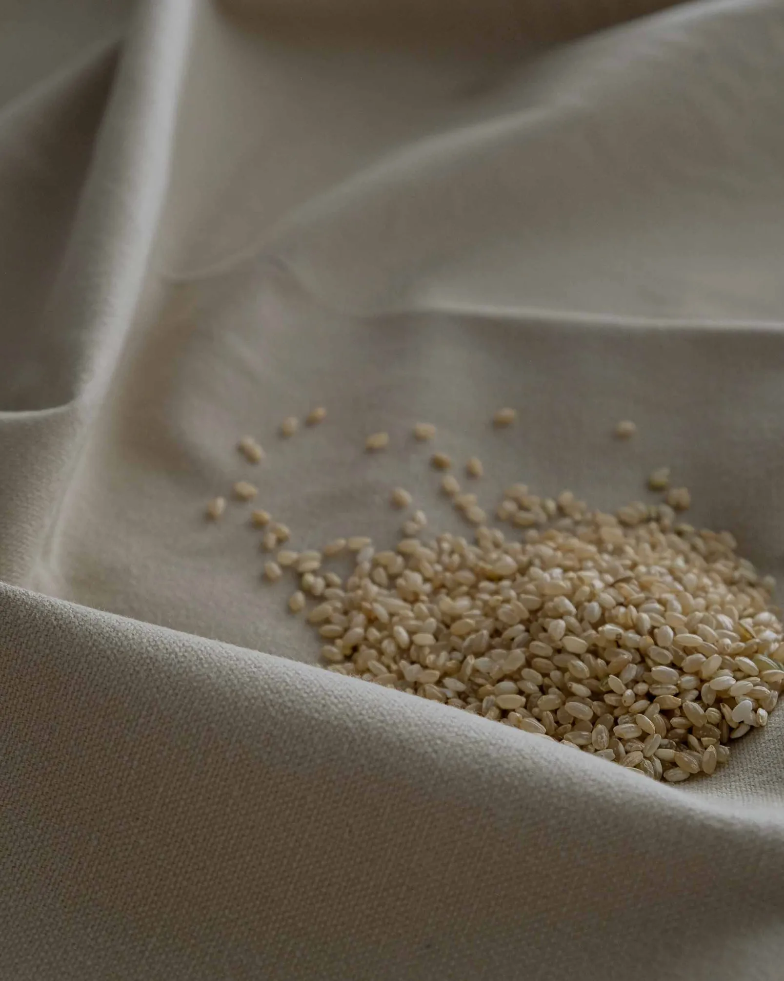 Parchement 022 - Coordonné