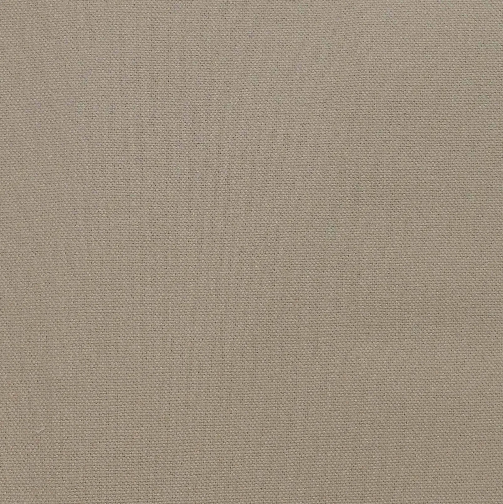 Parchement 022 - Coordonné