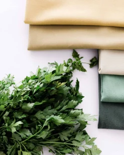 Pear 442 - Coordonné