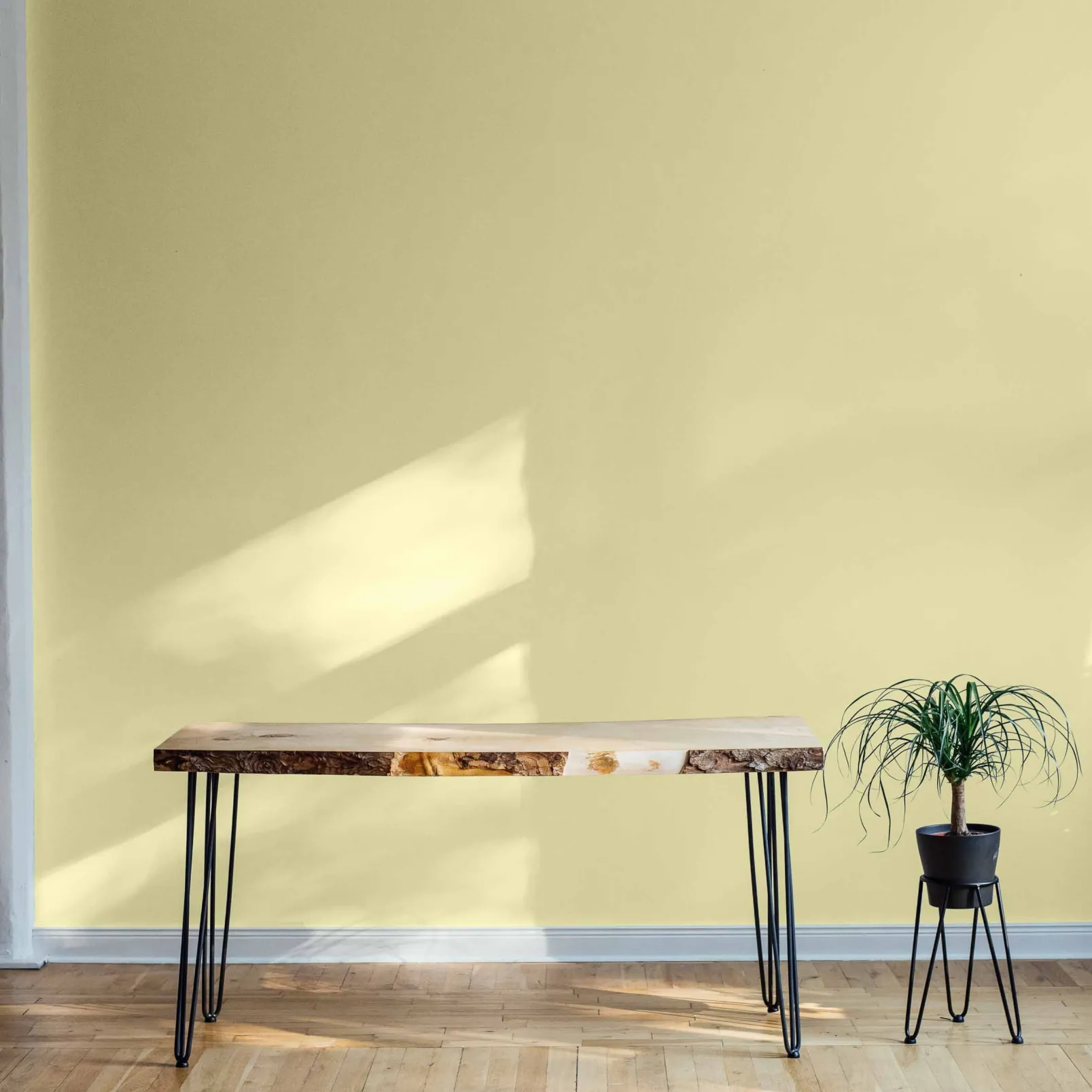 Pistacho - Coordonné