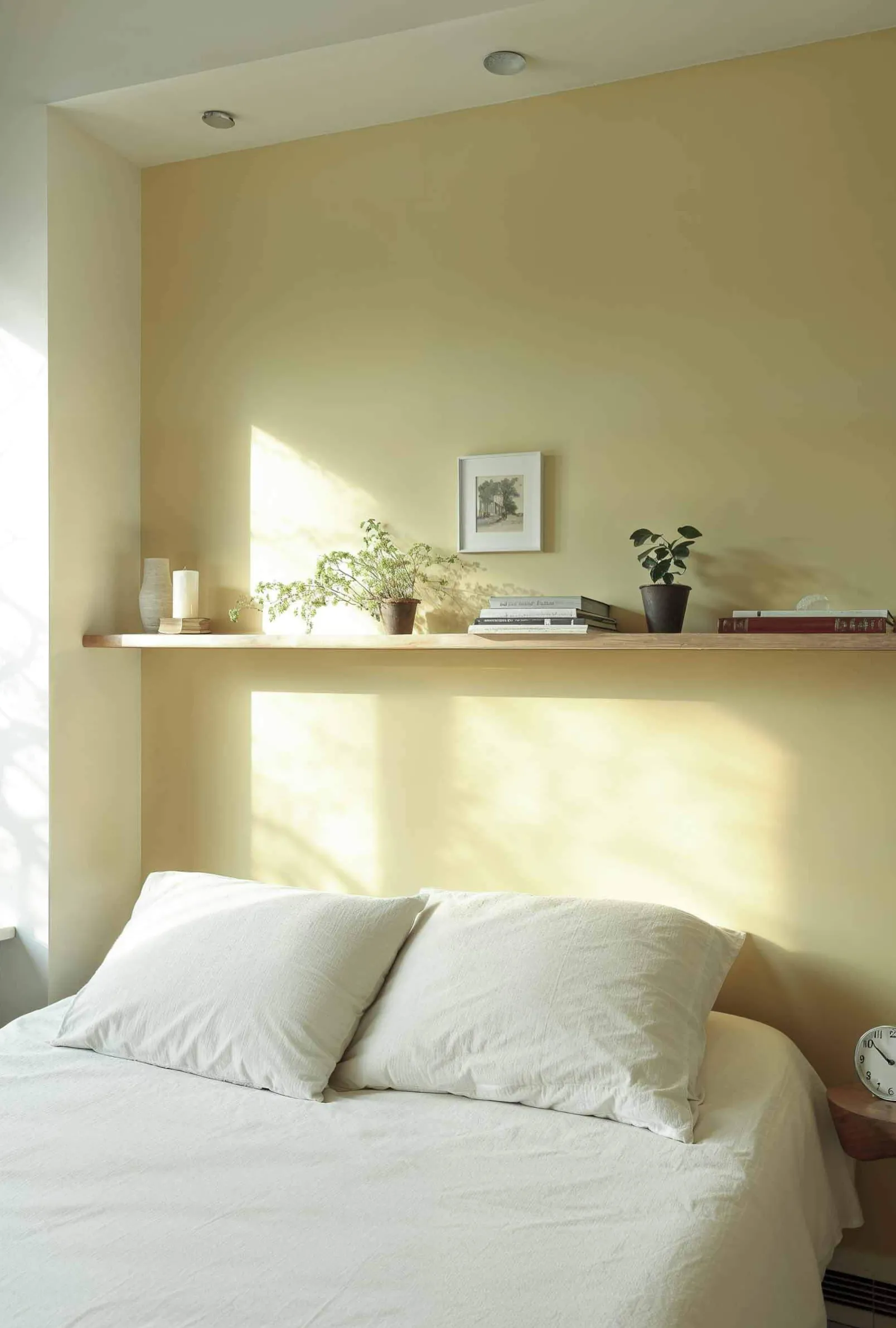 Pistacho - Coordonné