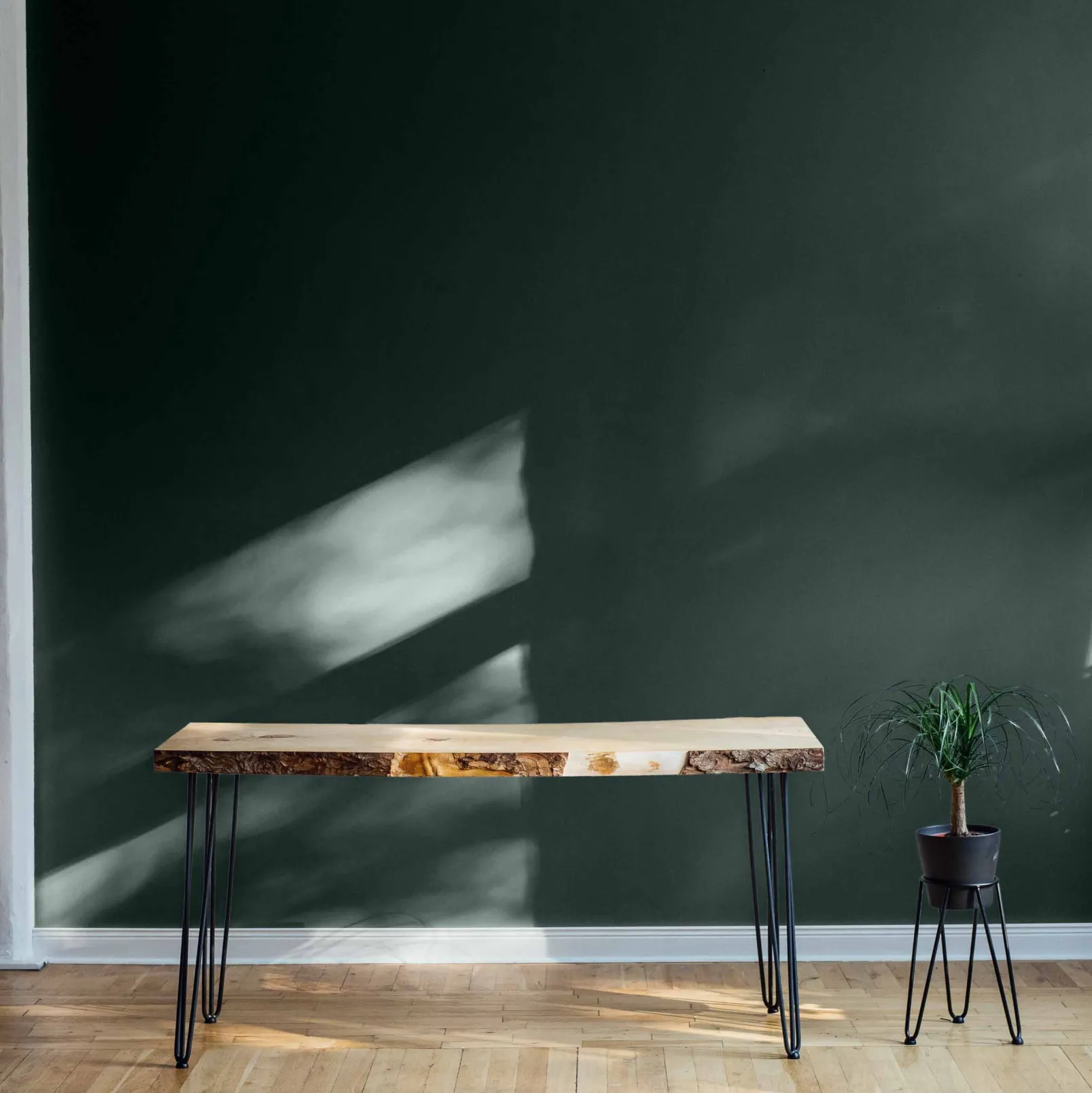 Regaliz - Coordonné