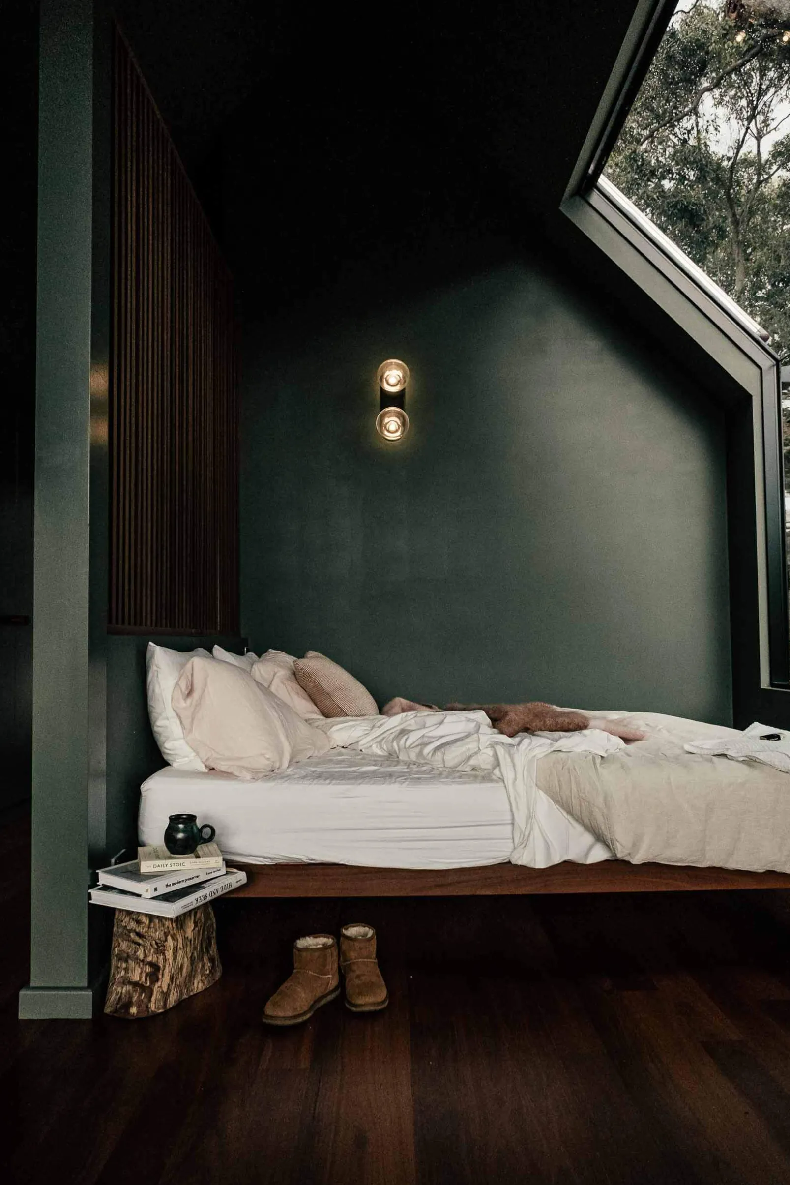 Regaliz - Coordonné