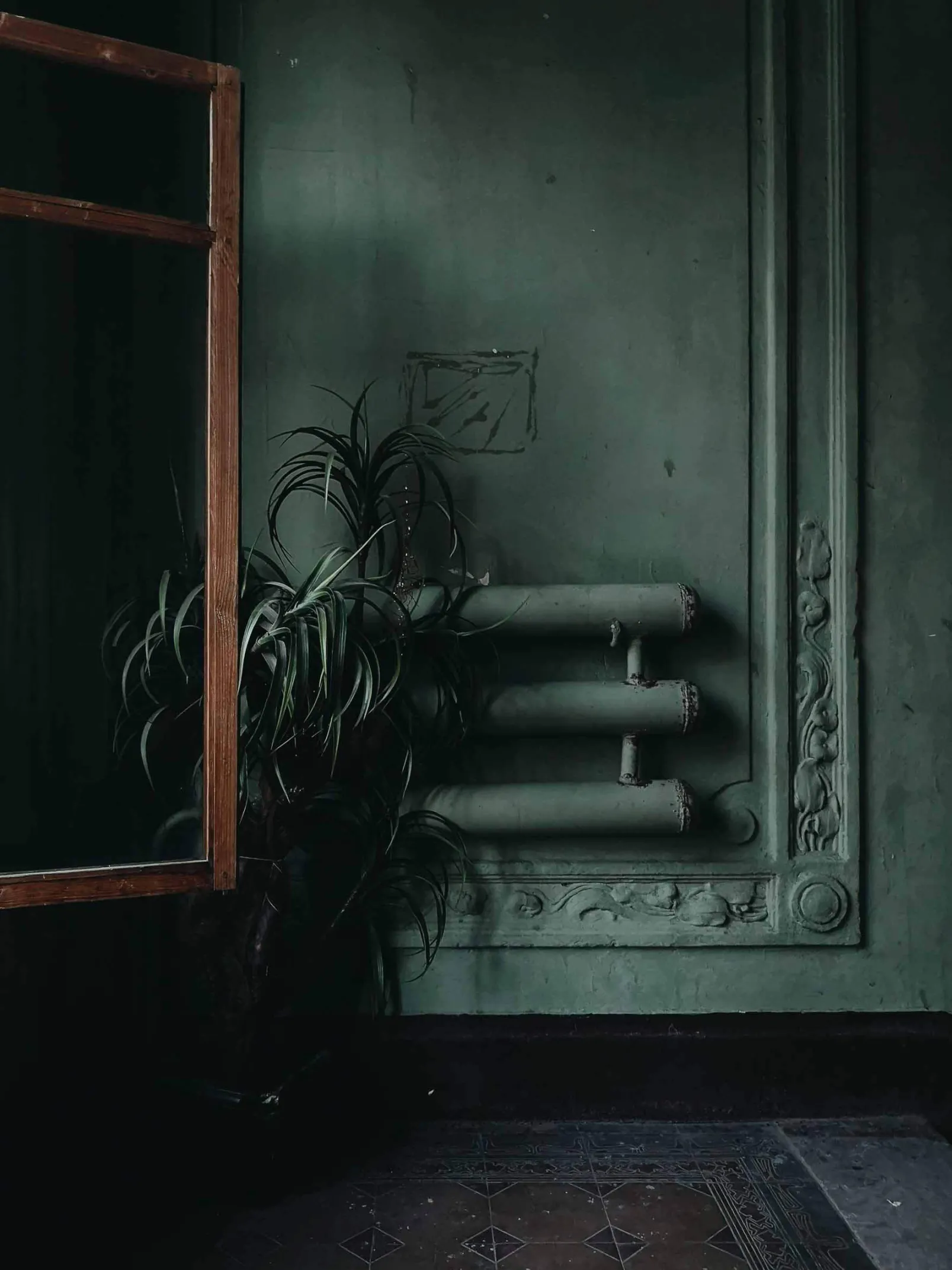 Regaliz - Coordonné