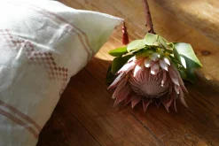 Ruta Arenisca - Coordonné