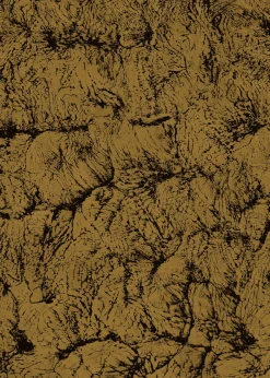 Sepia Gold - Coordonné