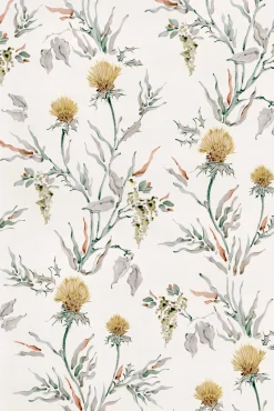 Silvestre Curry - Coordonné